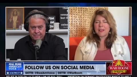 Dr Wolf and Steve Bannon