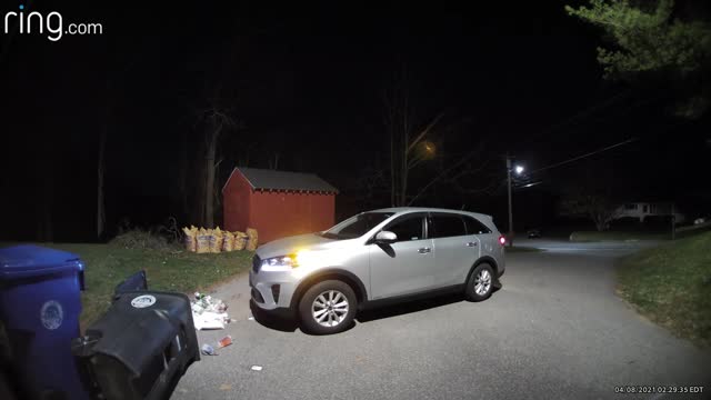 Black Bear Breaking into Garbage is Spooked Away