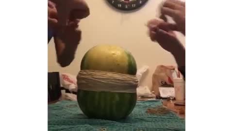 The watermelon exploded