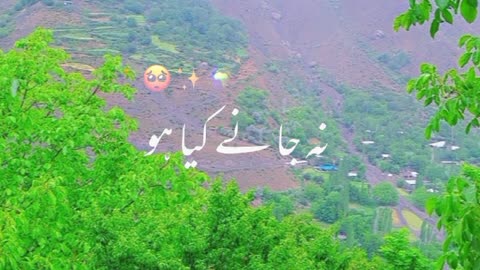 Nature lover