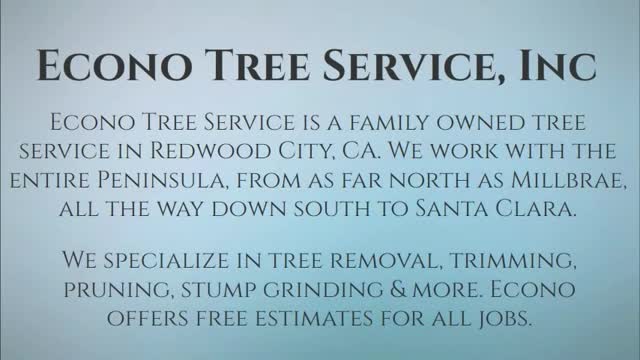 tree removal redwood city