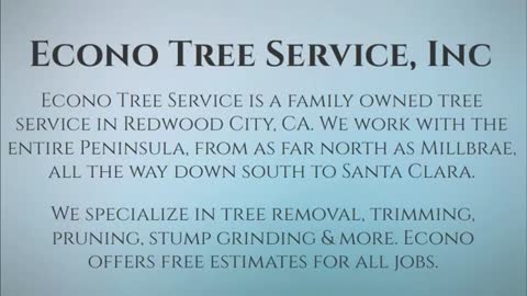 tree removal redwood city