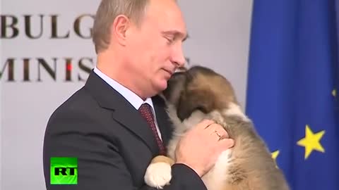 A Dog's Heart: Pet lover Putin needs name for fluffy puppy