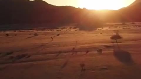 Drone flies over Valley Accompanied by Cricket