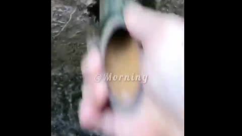 VIDEO VIRAL #46