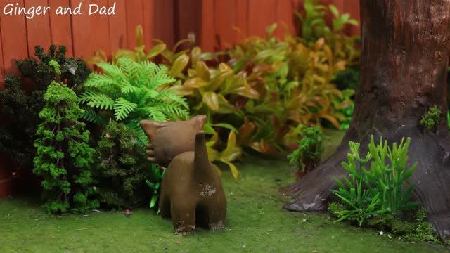 Cats just do not want to bathe 🙀💧💦😿 Ginger and Dad stop motion animation