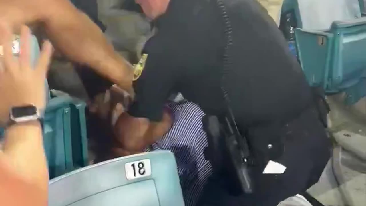 Police officers seen beating up fans at the Florida vs Georiga football game.