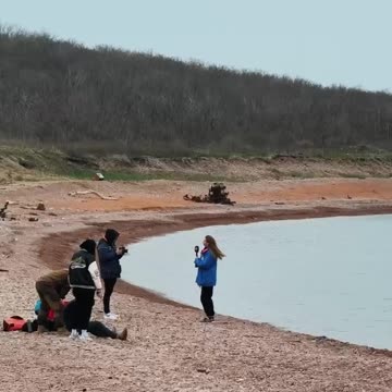 Seal rehabilitation 😊😊👍