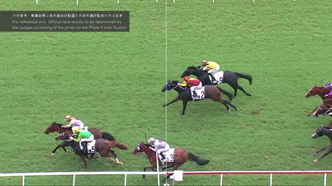 Horse_Race_2022061201_Chinese