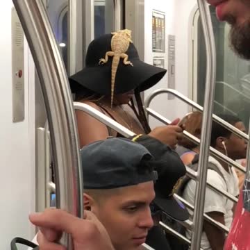 Women tells little boy in green pants to stop spitting