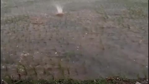 Huge Hail Landing in Flooded Field