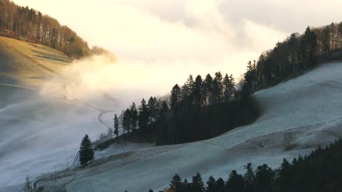 Watch wonderful perspective on Foggy Mountain