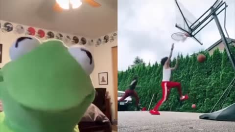 kermit on tiktok FUNNIEST VIDEOS