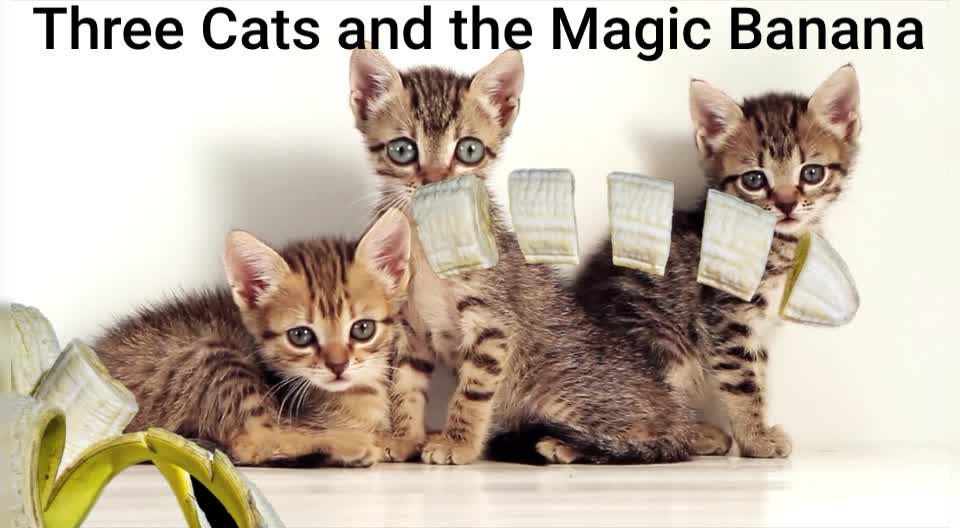 Three Cats and the Magic Banana