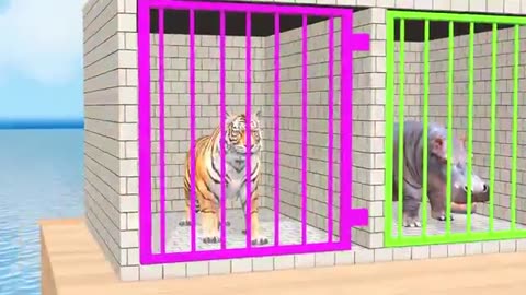 Cow Elephant Tiger Gorilla Hippo 3d Animal Long Slide Game Funny 3d Paint Animals Cage Game