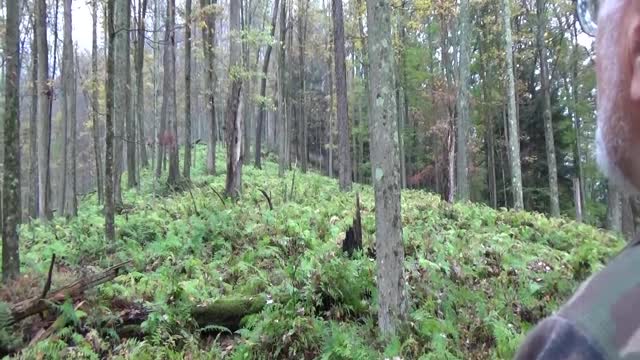 Big Woods Mountain Deer Hunting in Pennsylvania 2017