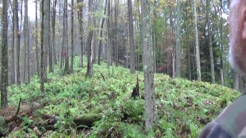 Big Woods Mountain Deer Hunting in Pennsylvania 2017