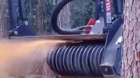 Automated tree shredding taken to next level