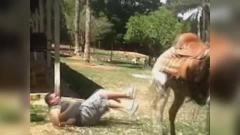 Brazil's craziest pawns