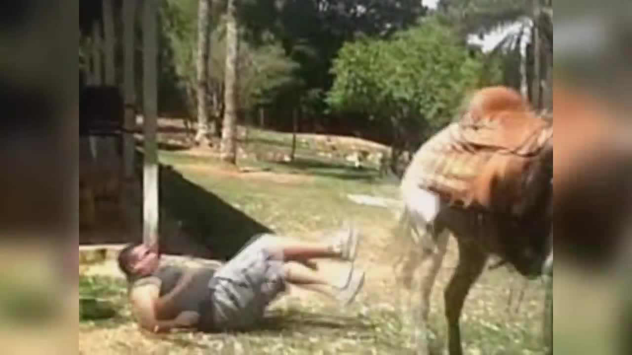 Brazil's craziest pawns