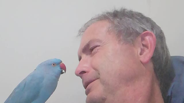 My bird knows my name is Alan