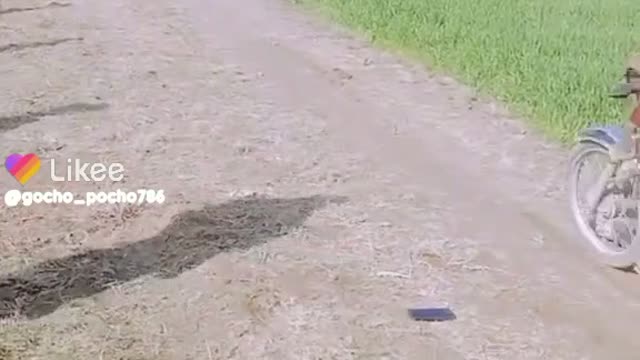 FUNNY VIDEO