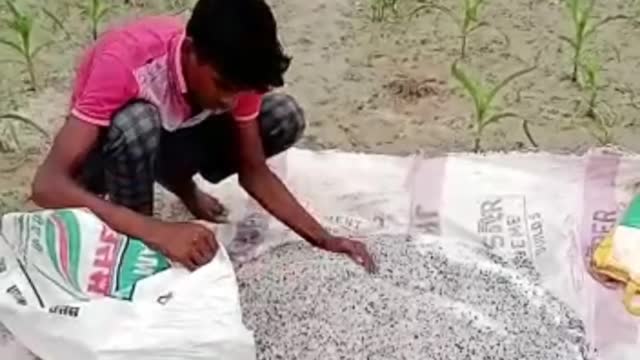 Work in field