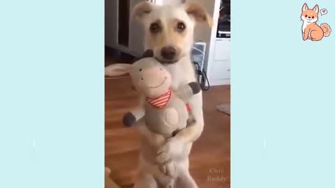 Cute Puppies 😍 Cute Funny and Smart Dogs series