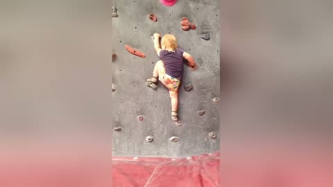 Watch this talented toddler scale 7-foot-high wall