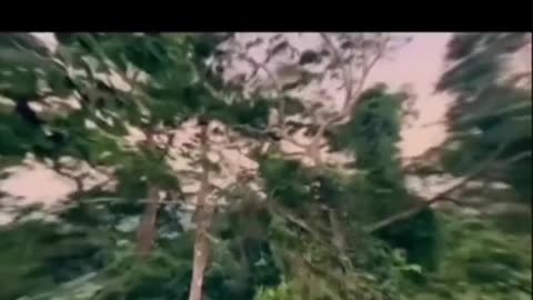 If I were the devil compilation with Rogan's reaction.