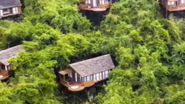 Best Nature evern seen great