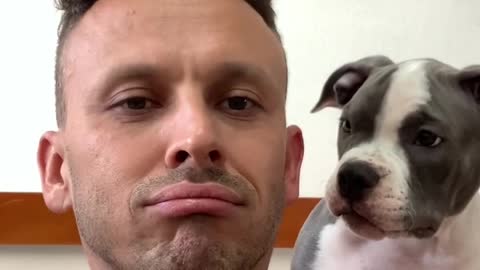 #Dog The Sounds and the Reactions 🤩😆 #americanbully