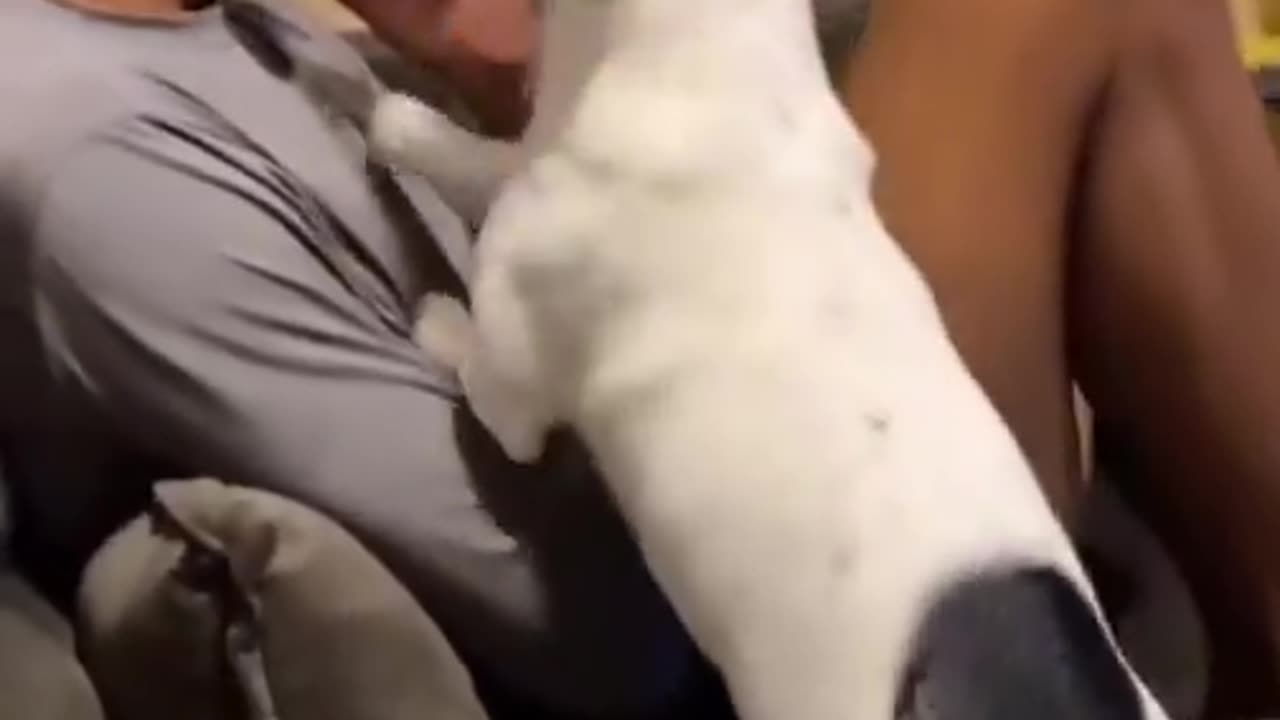 You're their world..🐕🥺❤️