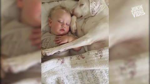 Cute Baby Playing with Dogs