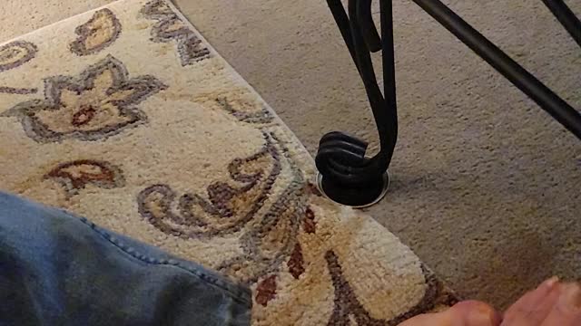 Sample video
