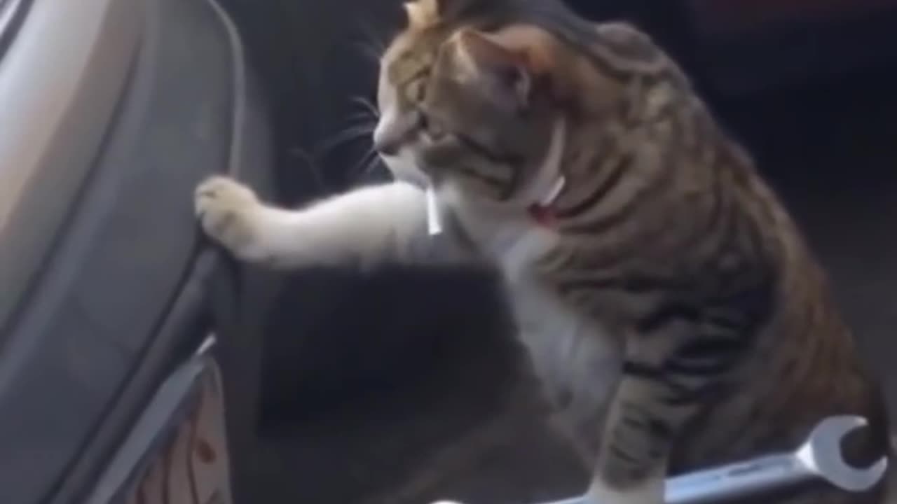 Catto has had enough