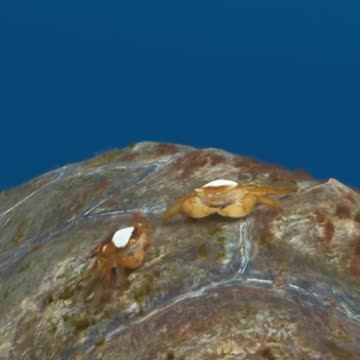 pov_ me running for my taxi at 3am 🏃 #PlanetEarth3