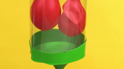 DIY model lungs