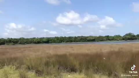 Wilpattu National Park
