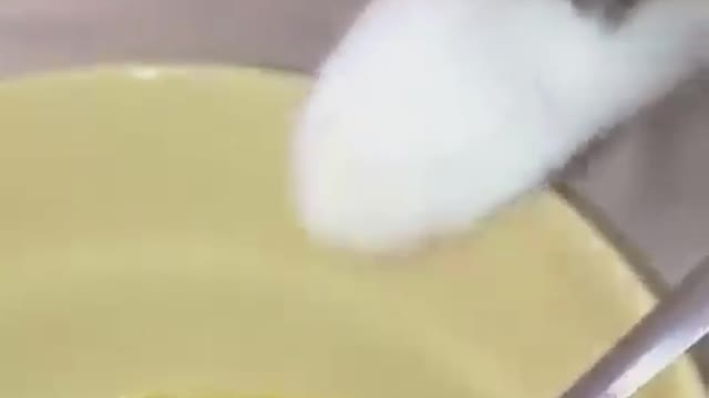 cat trying to eat noodles