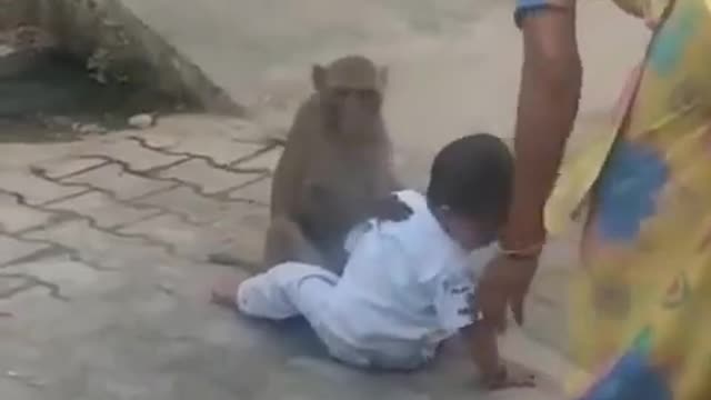 Monkey love boy.