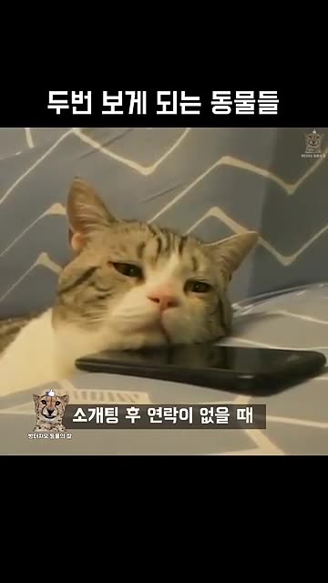 Funny And Cute Animal Videos Try Not To Laugh Or Smile