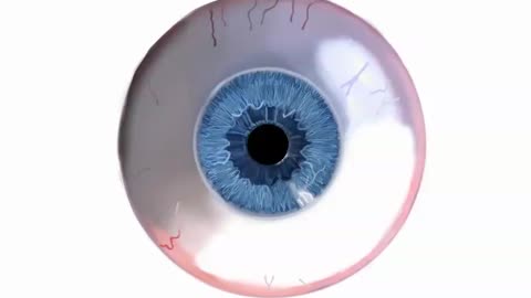 detailed eye