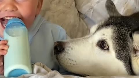 CUTEST VIDEO EVER