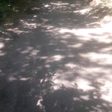 Biking along the old road