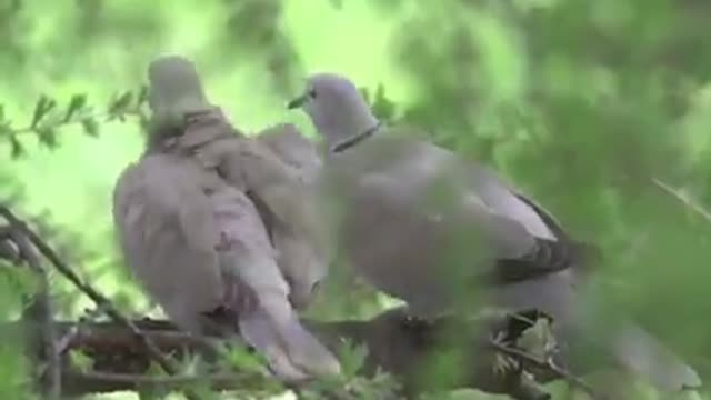 Time with God - July 5