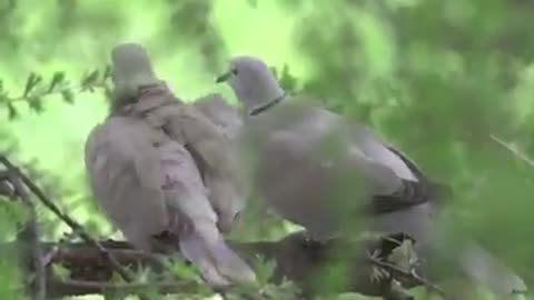 Time with God - July 5