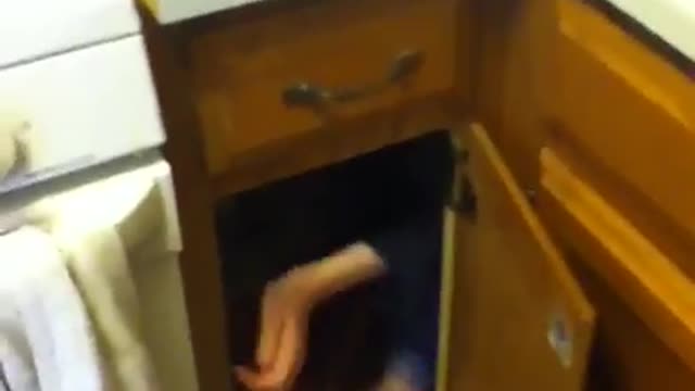 Jack in the cupboard