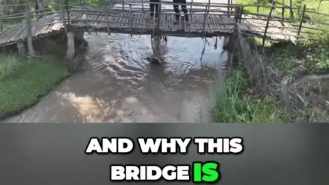 MR BEAST DISCOVERS LIFE THREATENING BRIDGE