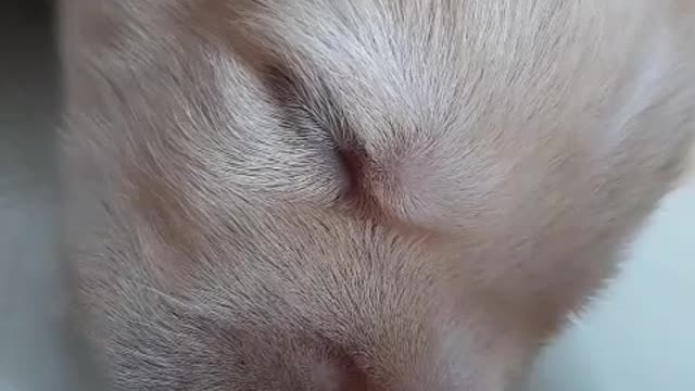 look cute Too go take and watch the fun video